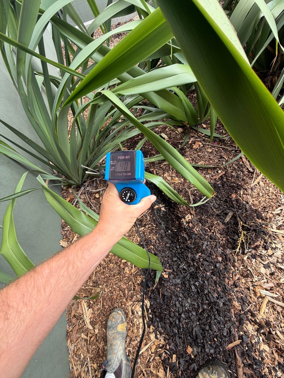 Non-Invasive Detection Northcote